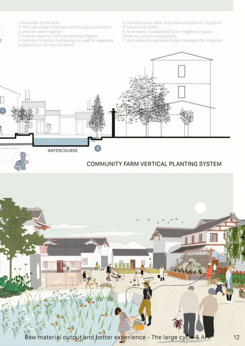 作品集分享 綠環(huán)路市場