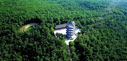 川渝黔陜甘五省聚廣元推介康養(yǎng)明星產(chǎn)品,廣元黑石坡森林康養(yǎng)旅游度假區(qū)亮相
