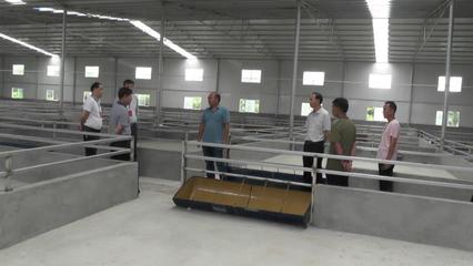 香龍鎮(zhèn):小農(nóng)民辦起大工廠