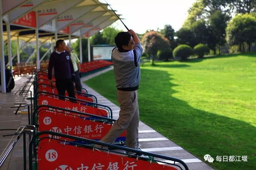 四年一次評(píng)選 都江堰這個(gè)領(lǐng)域又獲得省上表彰