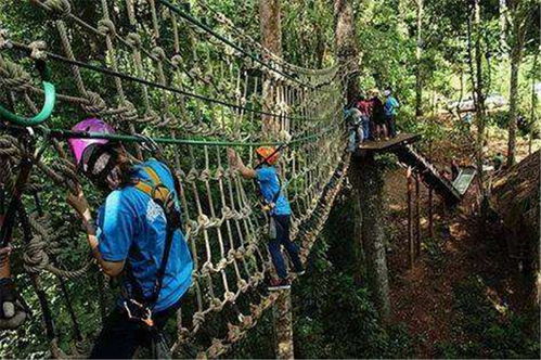 瓊海休閑旅游項目兒童攀爬樂園規(guī)劃設(shè)計