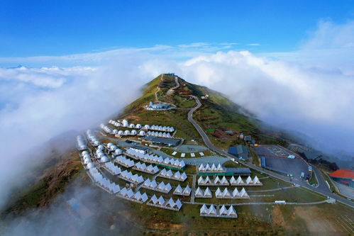 恒豐銀行奮力寫好 五篇大文章 金融青年加碼綠色金融,基層之力描繪綠水青山