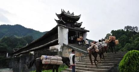 投資上億的4A級景區(qū)被迫停業(yè),是誰將投資商逼到無路可退?