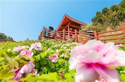 文旅融合綻放絢麗火花 2020年上半年全縣文化旅游發(fā)展綜述