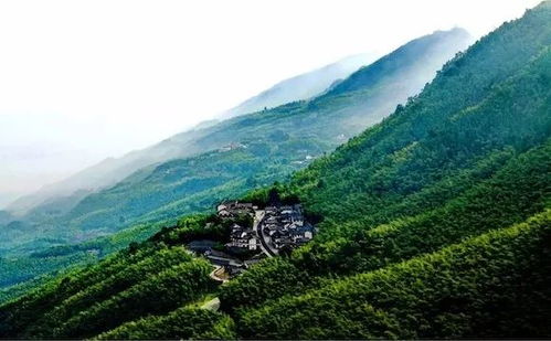 重慶媒體竟然這樣說永川...