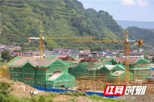 永定區(qū) 以高質(zhì)量項目推動高質(zhì)量發(fā)展