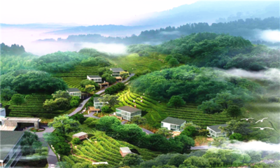 森林康養(yǎng)旅游開發(fā)條件的重要因素有哪些?