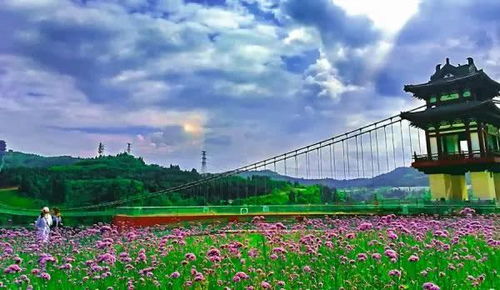 區(qū)域發(fā)展紅利和住的安逸都想要 這里最合適