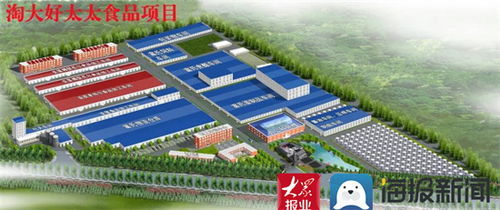 濰坊壽光稻田鎮(zhèn) 冬日里的項(xiàng)目溫度,激活高質(zhì)量發(fā)展新動(dòng)能