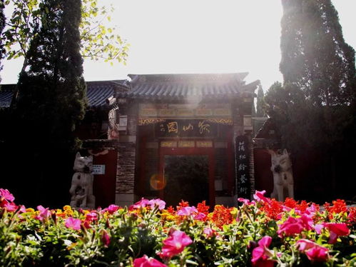 哇哦 山東人的專屬春游小瓶子來了,看看哪個能戳中你