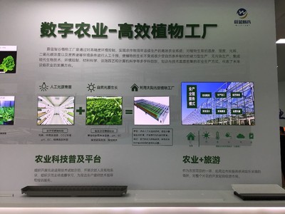 高質(zhì)量發(fā)展調(diào)研行丨單位畝產(chǎn)量提升8-10倍 這家植物工廠助農(nóng)有術