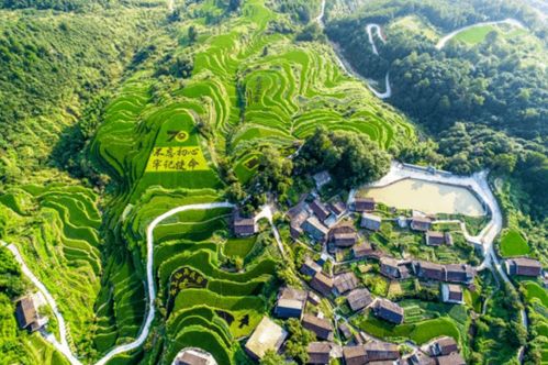 浙江出臺(tái)支持1市9縣振興發(fā)展意見(jiàn) 多地特色產(chǎn)業(yè)迎提升發(fā)展