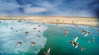 明天,察爾汗夢(mèng)幻鹽湖景區(qū)試運(yùn)營(yíng)啦