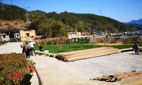 約你在春暖花開 巨口鄉(xiāng)村藝術(shù)季旅游開發(fā)項(xiàng)目有序復(fù)工