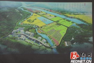 桑植 劉衛(wèi)兵會(huì)見客商 洽談旅游開發(fā)項(xiàng)目 組圖