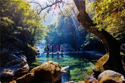 【推動(dòng)及成效】陵陽(yáng)鎮(zhèn):激活全域旅游新引擎 注入古鎮(zhèn)發(fā)展新動(dòng)能