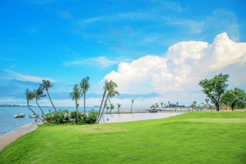 融 出特色牌,鼎龍集團(tuán)打造文旅優(yōu)質(zhì)品牌