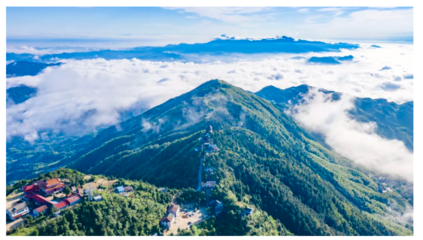 點(diǎn)贊!大云山旅游景區(qū)獲評(píng)“優(yōu)質(zhì)康養(yǎng)休閑旅游目的地”