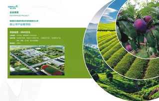 誠(chéng)聘英才 新疆昆侖綠源農(nóng)業(yè)科技發(fā)展 集團(tuán) 有限責(zé)任公司,誠(chéng)邀您的加入