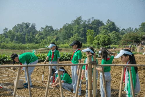 恒邦雙林集團(tuán) 潛心耕讀文旅，匠心鑄就文化旅游產(chǎn)業(yè)發(fā)展新篇章