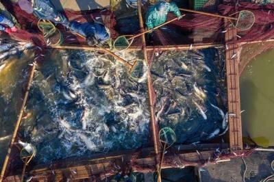 我向你奔赴而來——寫在'共富班車'發(fā)車滿月之際 游覽景區(qū)管理服務(wù)