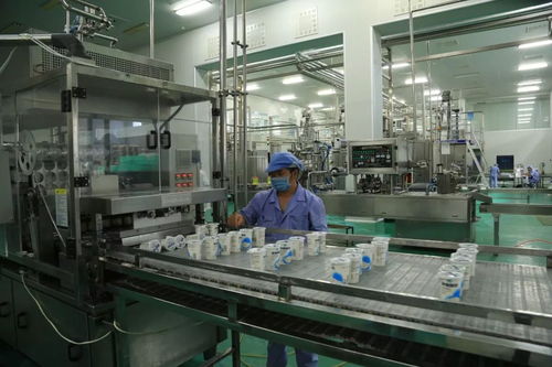 庫爾勒經(jīng)濟(jì)技術(shù)開發(fā)區(qū) 從工業(yè)高地邁向綠色園區(qū)新標(biāo)桿